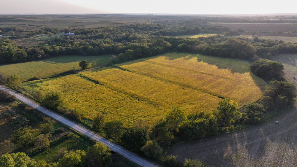 Productive Cropland and Recreational Farm with Residence