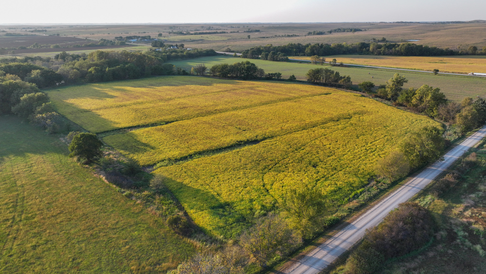 Productive Cropland and Recreational Farm with Residence