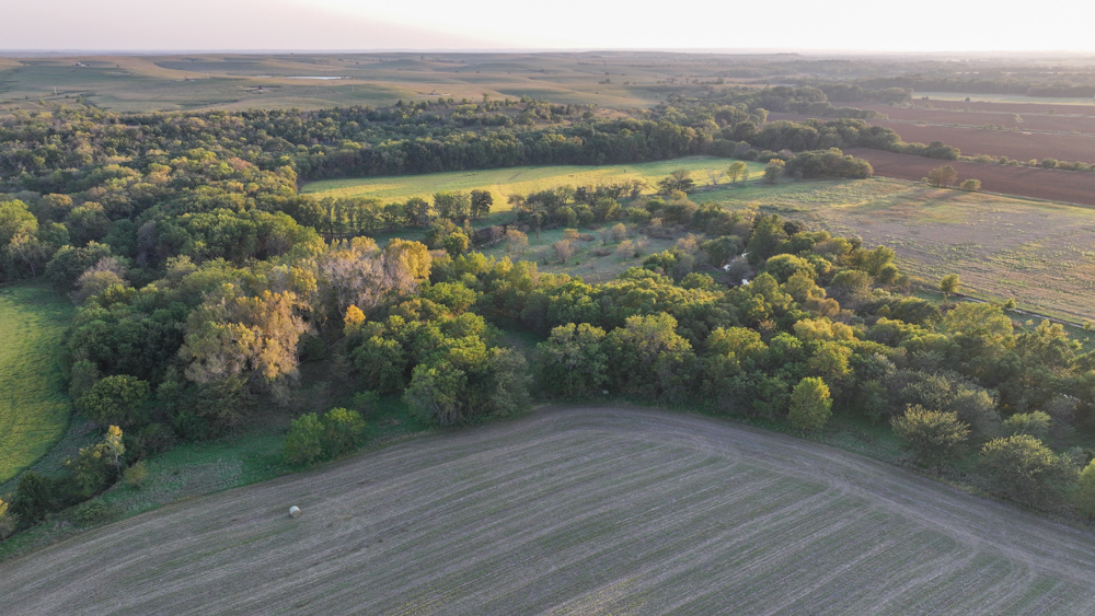 Productive Cropland and Recreational Farm with Residence