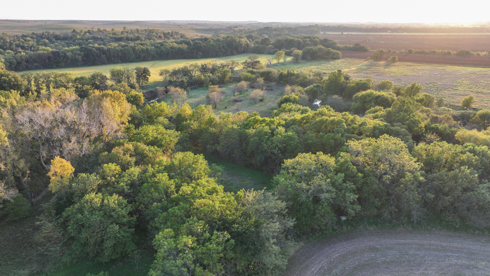 Productive Cropland and Recreational Farm with Residence