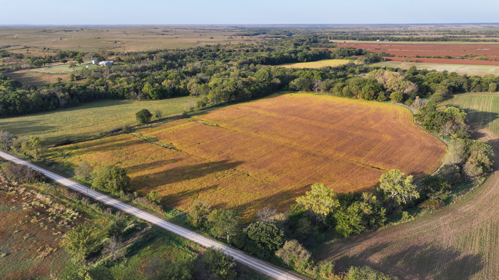 Productive Cropland and Recreational Farm with Residence