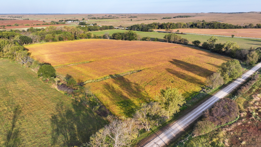 Productive Cropland and Recreational Farm with Residence