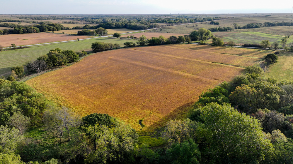 Productive Cropland and Recreational Farm with Residence