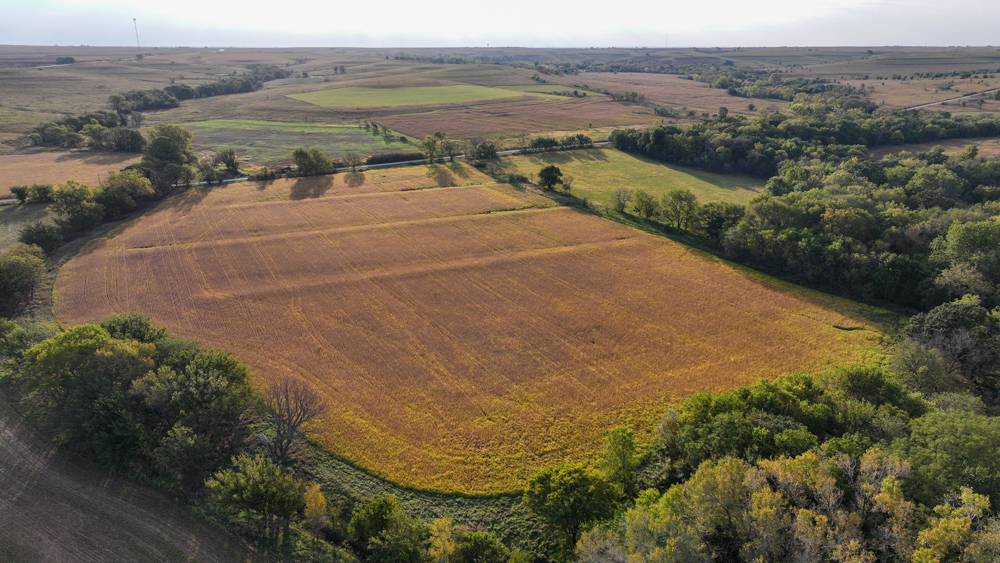 Productive Cropland and Recreational Farm with Residence