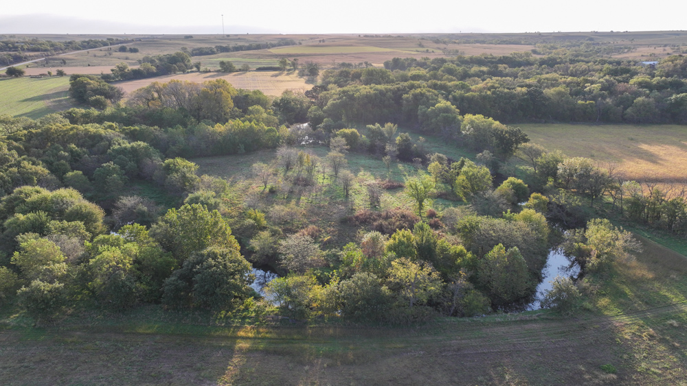 Productive Cropland and Recreational Farm with Residence