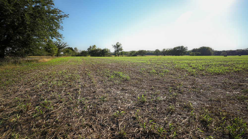 Productive Cropland and Recreational Farm with Residence