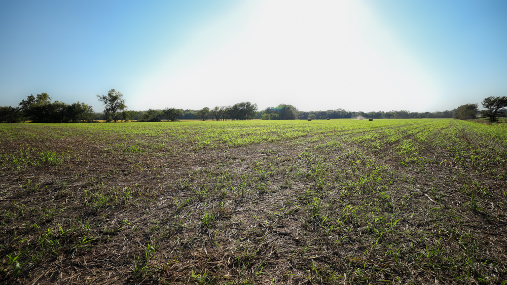 Productive Cropland and Recreational Farm with Residence