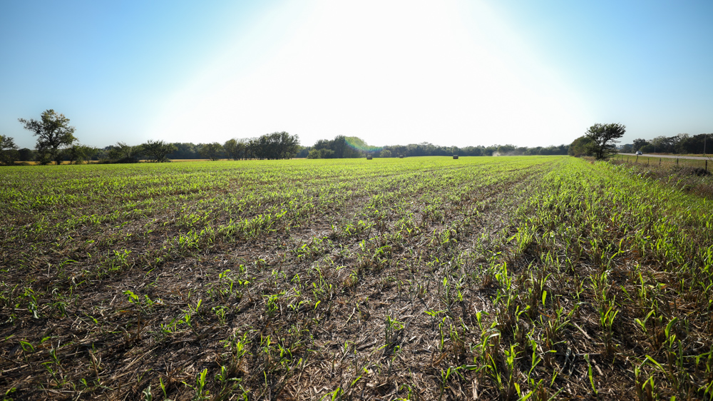 Productive Cropland and Recreational Farm with Residence