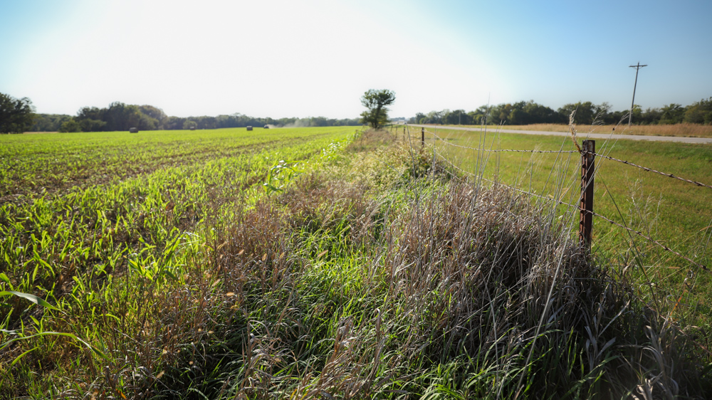 Productive Cropland and Recreational Farm with Residence