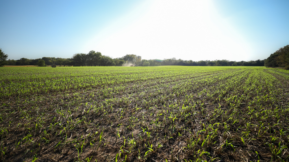 Productive Cropland and Recreational Farm with Residence