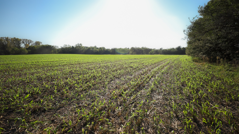 Productive Cropland and Recreational Farm with Residence