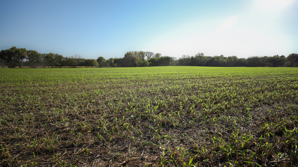 Productive Cropland and Recreational Farm with Residence