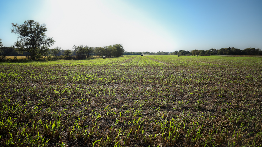 Productive Cropland and Recreational Farm with Residence