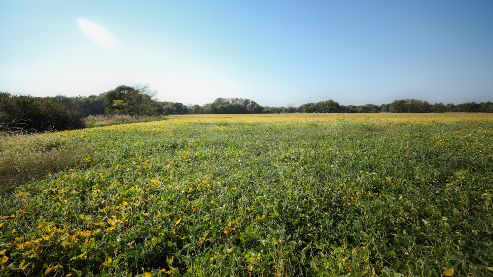 Productive Cropland and Recreational Farm with Residence