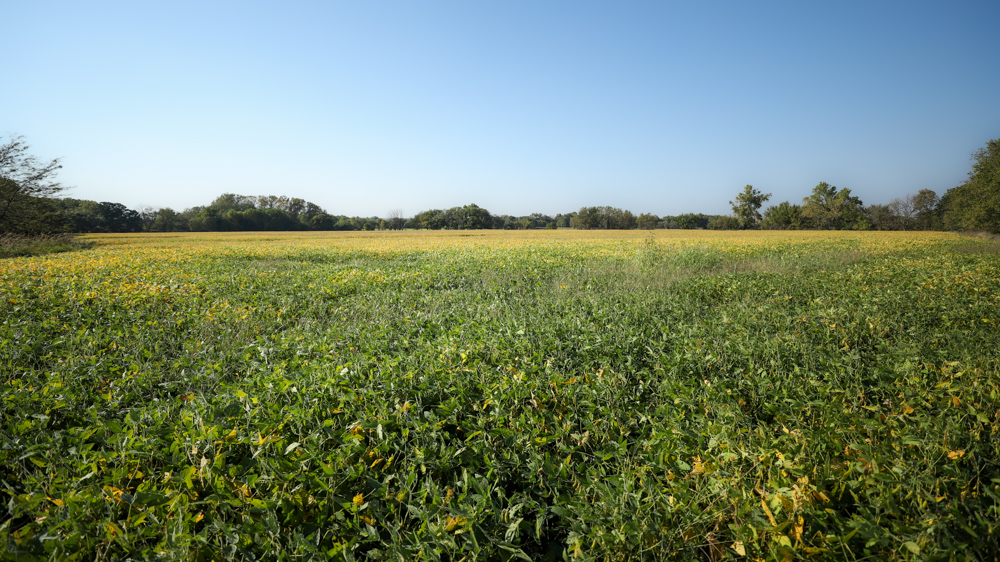 Productive Cropland and Recreational Farm with Residence