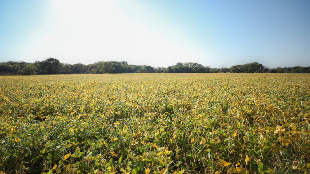 Productive Cropland and Recreational Farm with Residence
