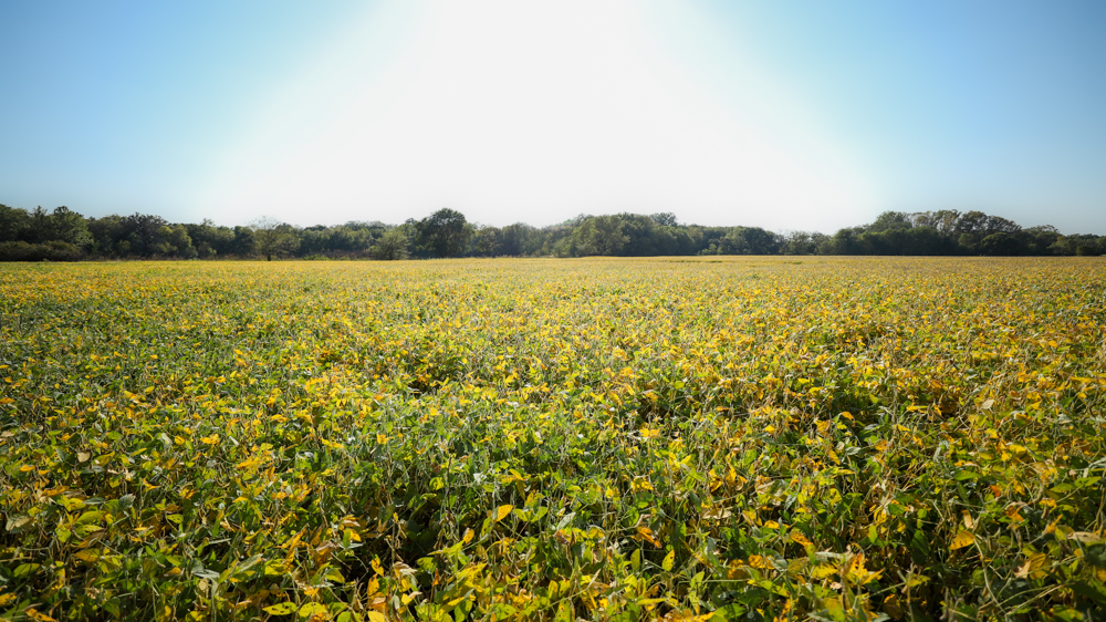 Productive Cropland and Recreational Farm with Residence