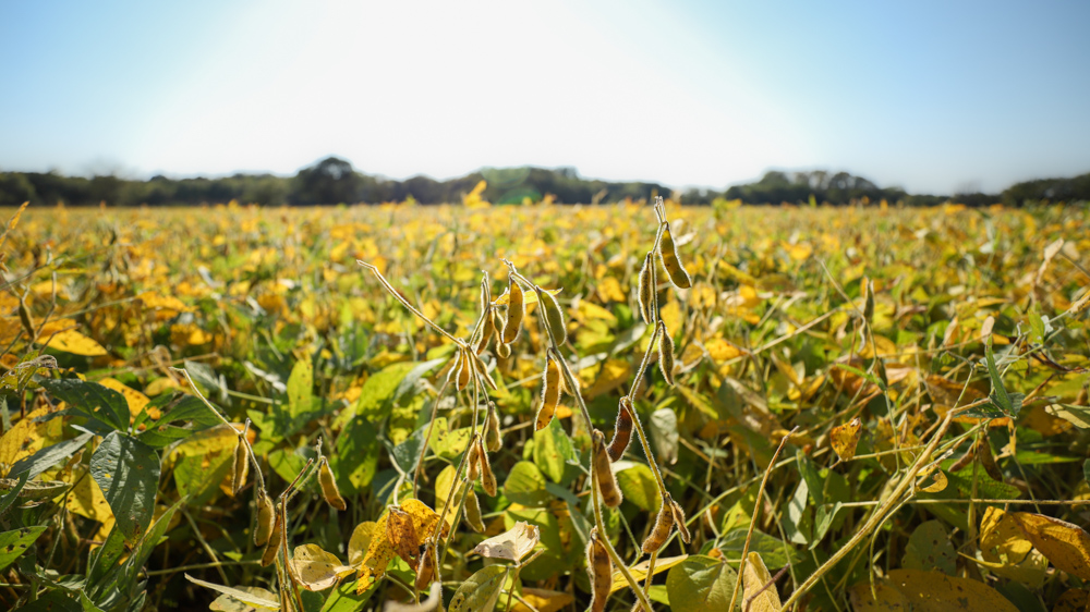 Productive Cropland and Recreational Farm with Residence