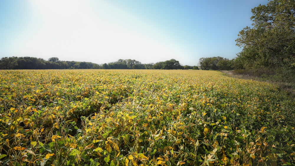 Productive Cropland and Recreational Farm with Residence
