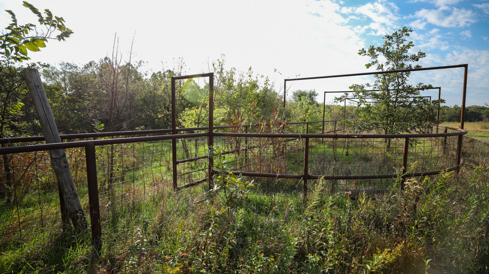 Productive Cropland and Recreational Farm with Residence