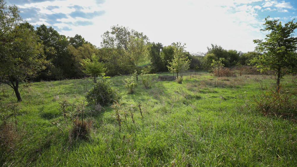 Productive Cropland and Recreational Farm with Residence