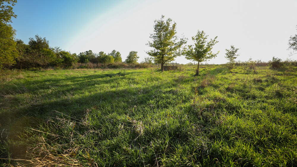 Productive Cropland and Recreational Farm with Residence