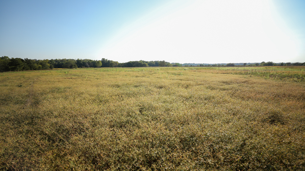 Productive Cropland and Recreational Farm with Residence