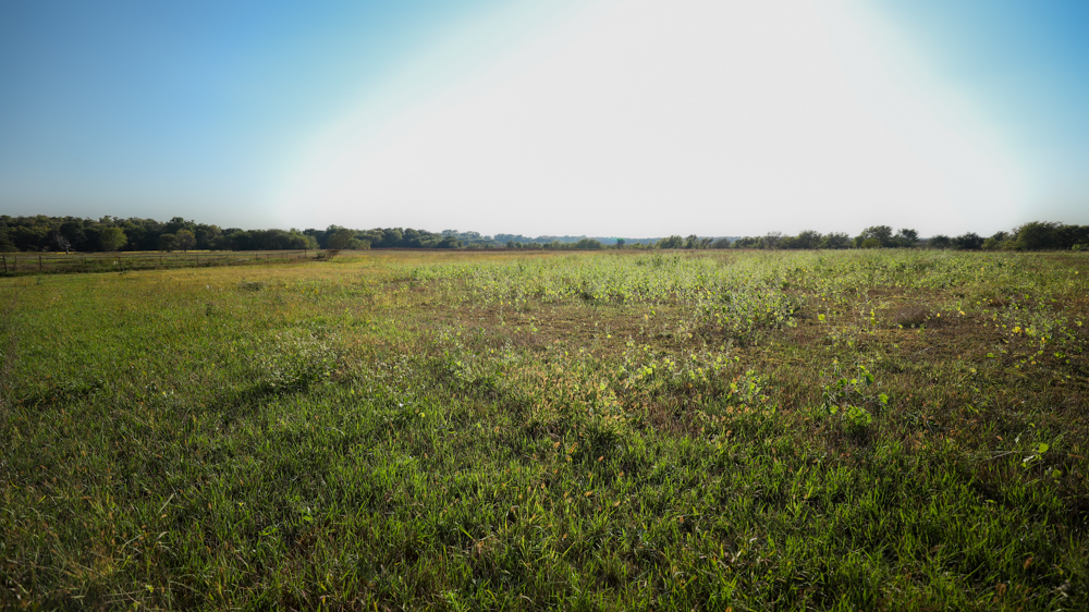 Productive Cropland and Recreational Farm with Residence