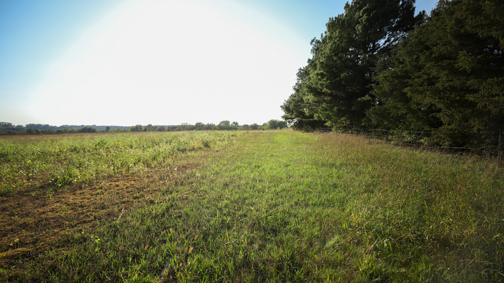 Productive Cropland and Recreational Farm with Residence