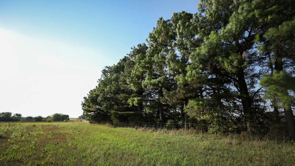 Productive Cropland and Recreational Farm with Residence