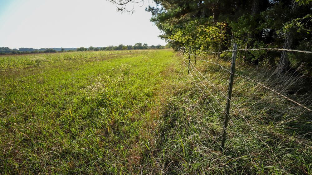 Productive Cropland and Recreational Farm with Residence