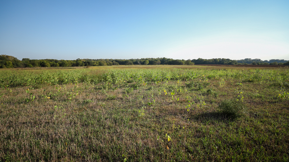 Productive Cropland and Recreational Farm with Residence