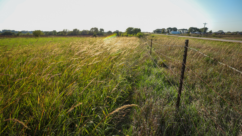 Productive Cropland and Recreational Farm with Residence