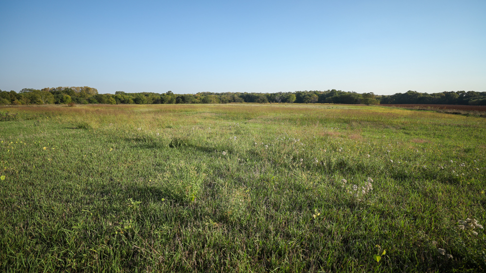 Productive Cropland and Recreational Farm with Residence