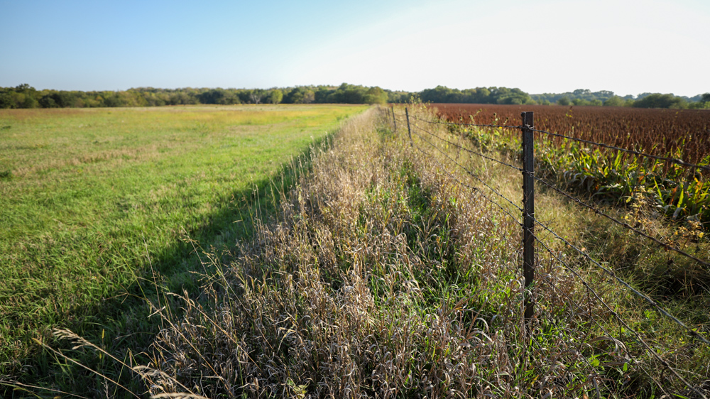 Productive Cropland and Recreational Farm with Residence