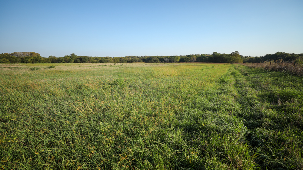 Productive Cropland and Recreational Farm with Residence