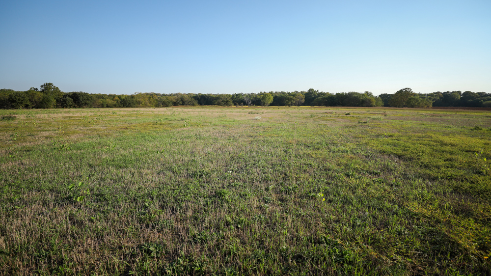 Productive Cropland and Recreational Farm with Residence