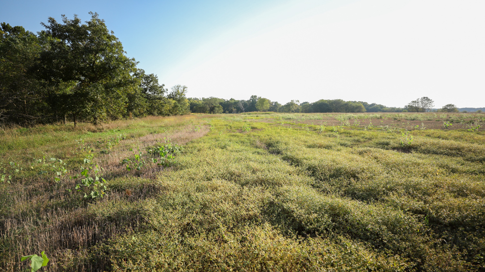 Productive Cropland and Recreational Farm with Residence
