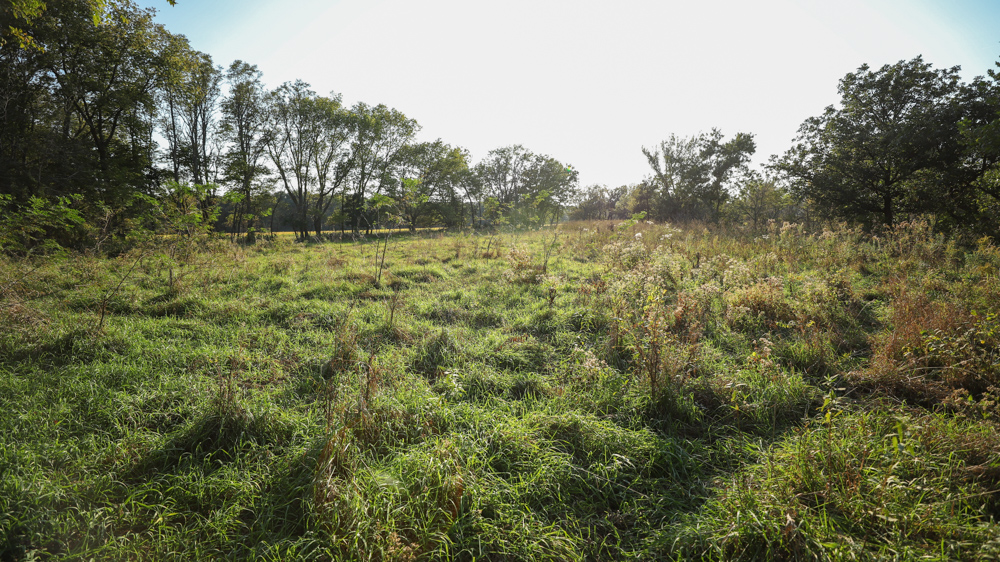 Productive Cropland and Recreational Farm with Residence