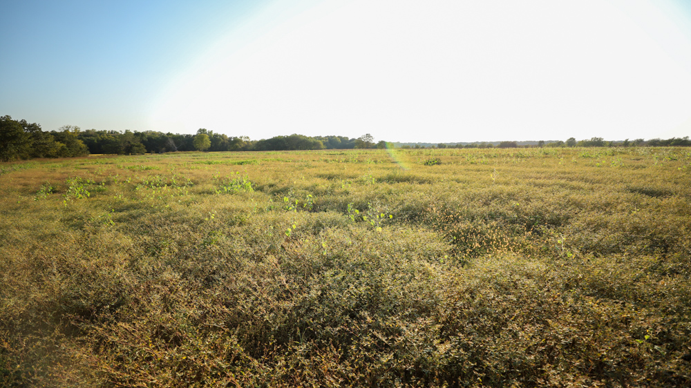 Productive Cropland and Recreational Farm with Residence