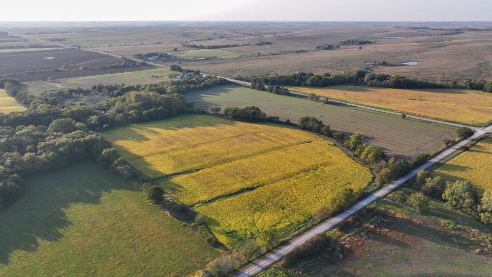 Productive Cropland and Recreational Farm with Residence