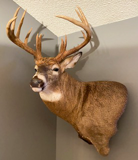 Hunting Paradise with Income