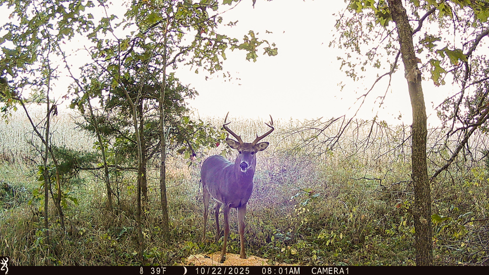 Exceptional Pasture Farm with World-Class Hunting & Recreational Potential