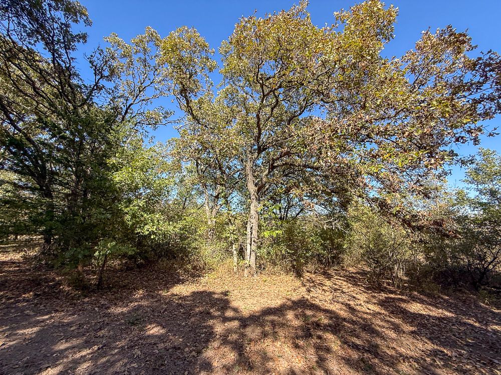 Large Home on Acreage near Pawhuska
