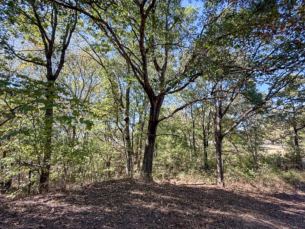 Large Home on Acreage near Pawhuska