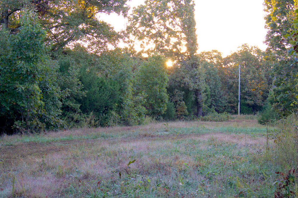 Premium Hunting Ground with Shop and Water Features
