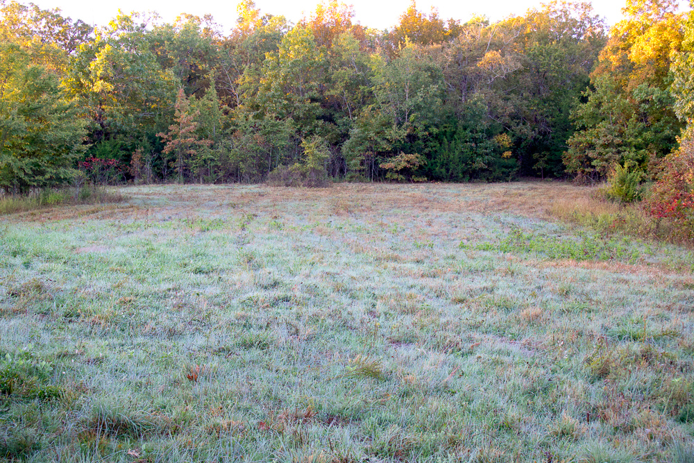 Premium Hunting Ground with Shop and Water Features