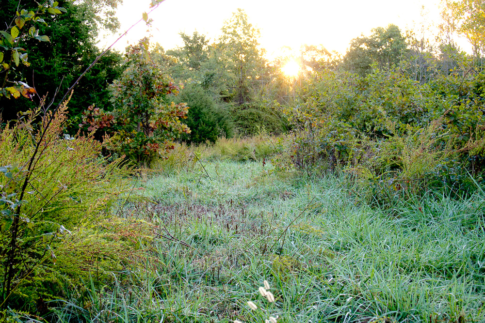 Premium Hunting Ground with Shop and Water Features