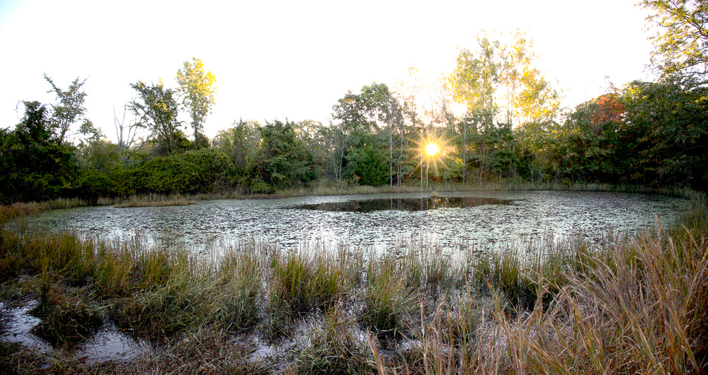 Premium Hunting Ground with Shop and Water Features