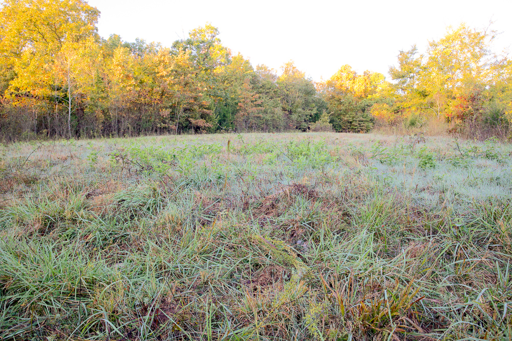 Premium Hunting Ground with Shop and Water Features